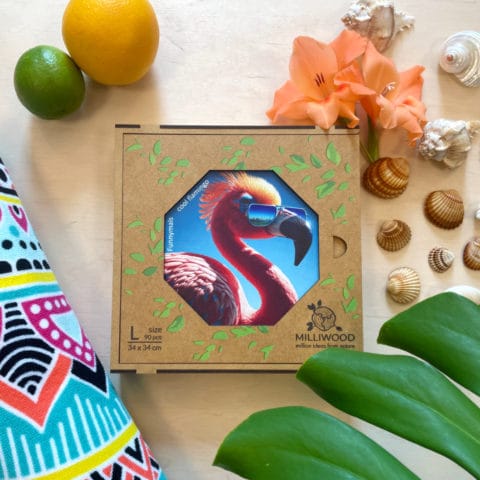 Cool_Flamingo_5