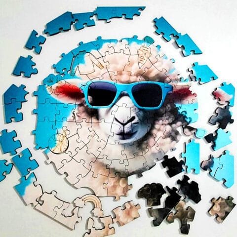 sheep