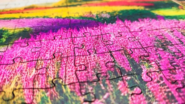 Puzzle drewniane - Landscapes - Wrzosowa Chata - 580 el. - obrazek 10